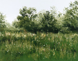 Field of White and Gold