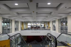 Into my Brain / Out of my Brain