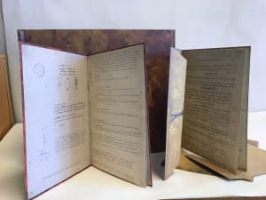 The Treasures of Leonardo da Vinci