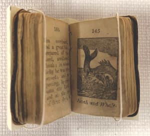 Thumb Bible