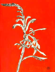 Wild Lily