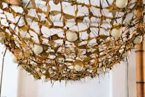 The Net