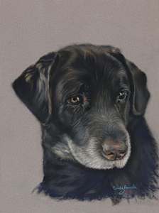 *Sadie (Mercedes)