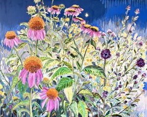 Echinacea