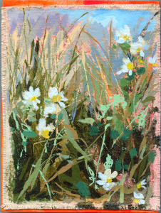 Daisy II