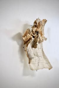 Reclaiming poetry