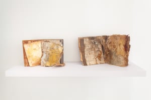 Book series gallery