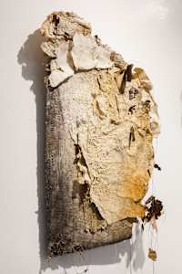 El respirar de la corteza