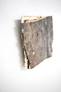 Opening wounds into words