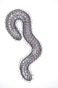 Underwater Superheroes (Sea cucumber)