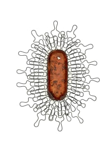 Do You Know What Was in This Tin? Kippers