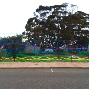 Survey - Canola at the Base of the Stirlings