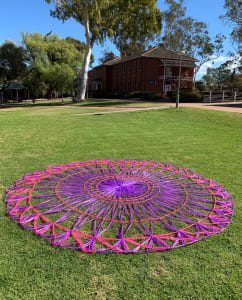 Survey - Tenerife Lace Wheel - Pink