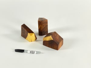 TRIO #431
