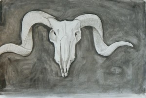Ram Skull on Gray