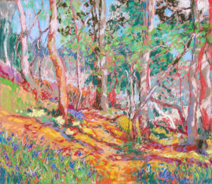 LS15: Bluebell path - 29th April 2020