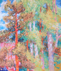 LS24: Scots pine and Balsam poplars in the early evening - 14th May 2020