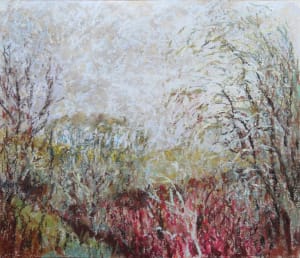 NH23: Finding colour in the rain - 13th December 2020