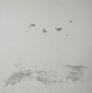 Drones