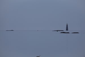 Minot Light, MA #1