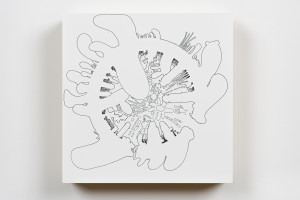 Motile Study 1