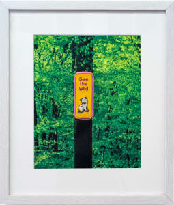 Merit VII: See the Wild