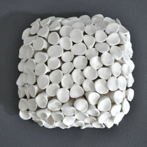 Fungi - 5"