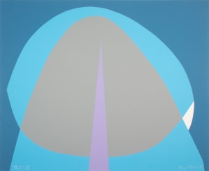S VIII
