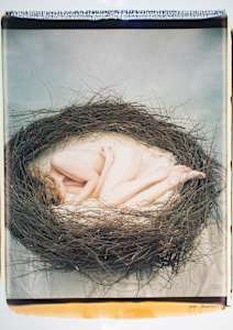 Untitled (from "Photographs of Women")