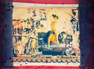 Venus Arrives in the USA in 1977