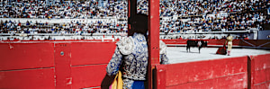 Moment of Truth, Nimes, France
