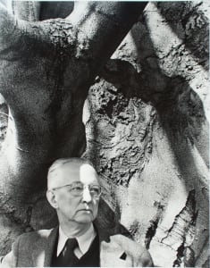 Charles Sheeler and His Favorite Beech Tree