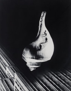 City Shell