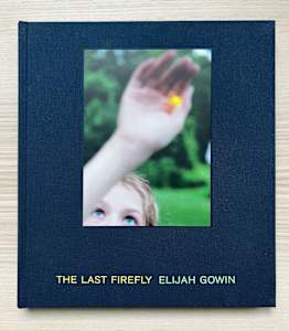 The Last Firefly
