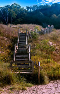 Diana Dunes Steps Morning