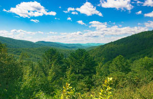 From Skyline Drive the Allegheny Mountains Morning