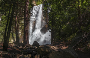 Grizzly Falls Morning