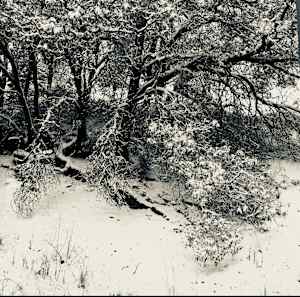 Santa Fe backyard with snow, December 13, 2015