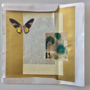 Butterfly and Palmleaf