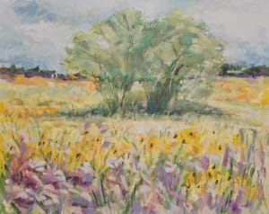 Field of Gold