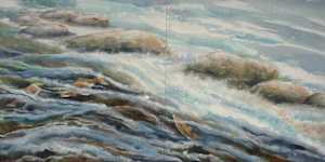 Soft Waters
