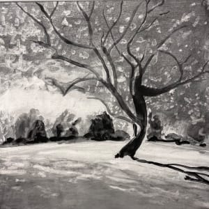 Ayr Mount Tree II  36.0787N 79.0840W