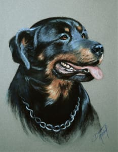 Metaha II ~ Rotwieller