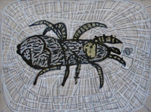 Spider and Fly