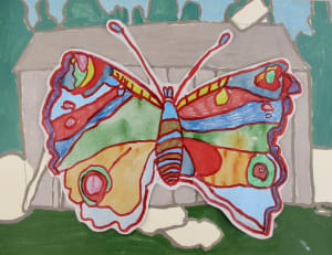 Butterfly