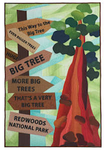 The Biggest Trees