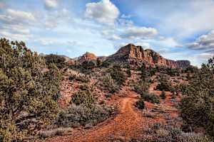 Sedona Landscape