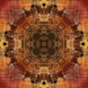 Fabric of Life