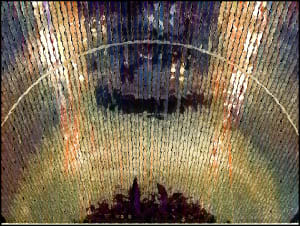 Groupie's View #2
