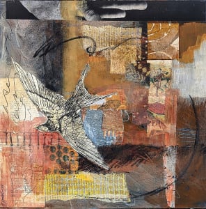 Swallow